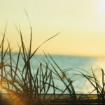 2012年全年完整开奖记录数据汇总 3z2653y