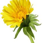 3D开奖期2025121期最新开奖结果公布 5wb0y