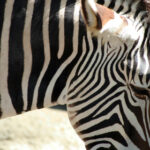 3d开奖时间是几点?最新开奖时间表公布 7enywhj51a