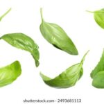 2012年体彩大乐透开奖结果及历史数据回顾 85espw