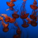 3D开奖数字与中奖概率深度关系解析 8b8w58qf