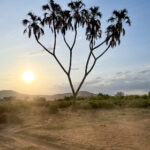 2013年买马开奖结果查询与历史回顾 a5584ivu