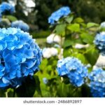 2012年3D彩票全年完整开奖数据历史记录汇总 g74slhw2q1