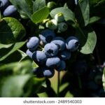 2012年度福利彩票开奖结果完整回顾 i16m23