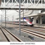 2013年全年开奖记录完整详细汇总 j6d6ce5w8c