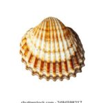 2013年3d试机号与开奖号历史查询及走势分析 qlls61bh68