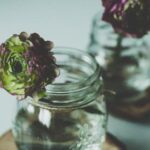 2013年双色球开奖结果历史数据全记录 up7dd