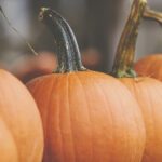 2013年全年完整历史开奖记录数据汇总 vb2w9fl0re