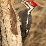 2013年彩票开奖结果完整历史数据汇总 w769x92