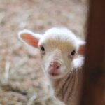 2012年全年各期彩票开奖记录完整查询 wi579